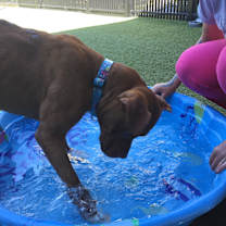 Thumbnail photo of CHEROKEE #4