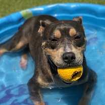 Thumbnail photo of KEITH #2
