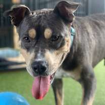 Thumbnail photo of KEITH #3