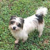 Thumbnail photo of Debo #1