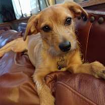 Thumbnail photo of Huey #1