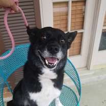 Thumbnail photo of Lucy #1