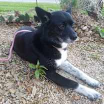 Thumbnail photo of Lucy #2