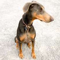 Thumbnail photo of Rita #1