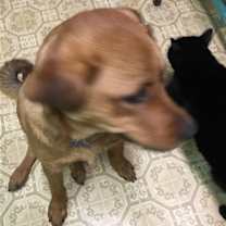 Thumbnail photo of Lulu #3