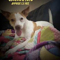 Thumbnail photo of Emma/Ms* #1