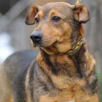 Thumbnail photo of Cassie #1