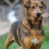 Thumbnail photo of Cassie #2