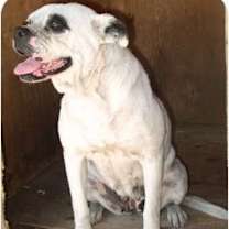 Thumbnail photo of Blanca #2