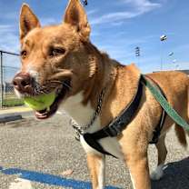 Thumbnail photo of Riley #4