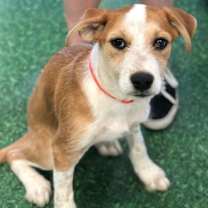 Thumbnail photo of Neelix #2