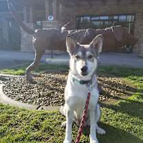 Thumbnail photo of Nyah #2