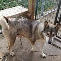 Thumbnail photo of Nyah #3