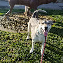 Thumbnail photo of Nyah #4