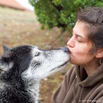 Thumbnail photo of Shadow #4