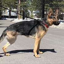 Thumbnail photo of Aleah #3