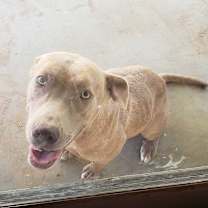 Thumbnail photo of Daisy #4