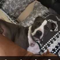 Thumbnail photo of Zeus #1