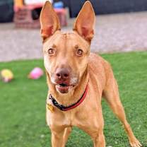 Thumbnail photo of Ali #4