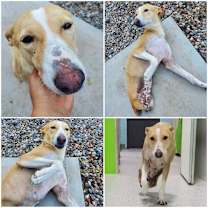 Thumbnail photo of Tinkerbell #2