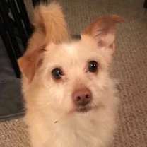 Thumbnail photo of ACE #3