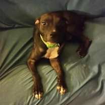 Thumbnail photo of Ayla #1