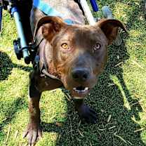 Thumbnail photo of Abel #2