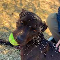 Thumbnail photo of Abel #4