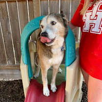 Thumbnail photo of Patch #3