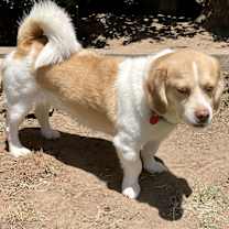 Thumbnail photo of Simba W- sanctuary #1