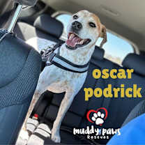 Thumbnail photo of Oscar #1