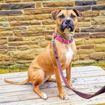 Thumbnail photo of Avery #2