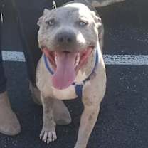 Thumbnail photo of Smoke #3