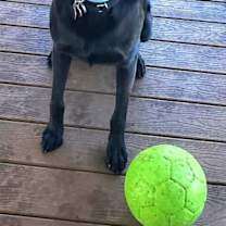 Thumbnail photo of Colby #2