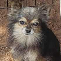 Thumbnail photo of Marbles #1