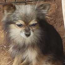 Thumbnail photo of Marbles #2