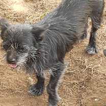 Thumbnail photo of Scratch #3