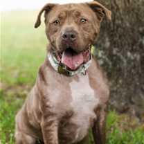 Thumbnail photo of Grady #1