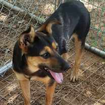 Thumbnail photo of Wilma #3