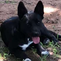 Thumbnail photo of Sabrina #2