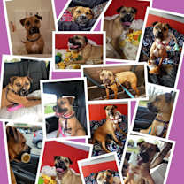 Thumbnail photo of Avery #3