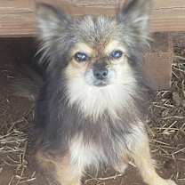 Thumbnail photo of Marbles #3