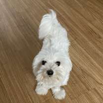 Thumbnail photo of DAISY #3