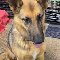 Thumbnail photo of Shelby Ann #2