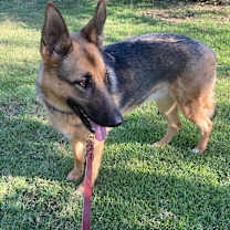 Thumbnail photo of Shelby Ann #3