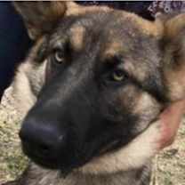 Thumbnail photo of Sarah #2