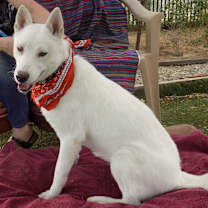 Thumbnail photo of LUNA #1