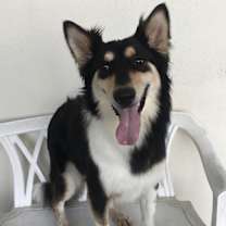 Thumbnail photo of Berry #2