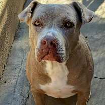 Thumbnail photo of Destiny #2