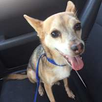 Thumbnail photo of Mickey #4